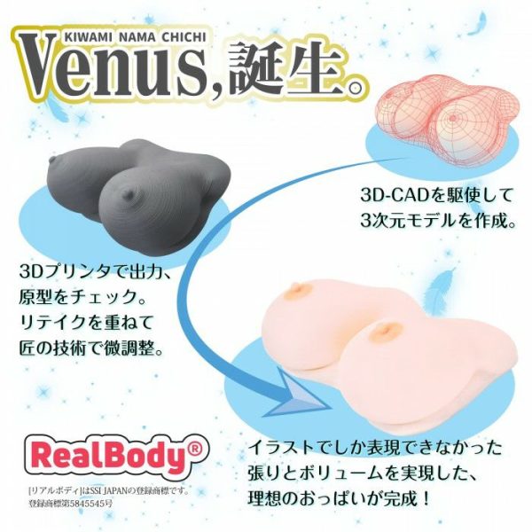 Boobs | Ssi – Venus Breast 2.6Kg Boobs Boobs